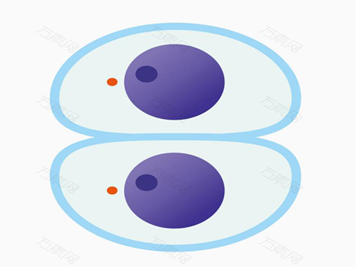 Cutting master - free online Browser game