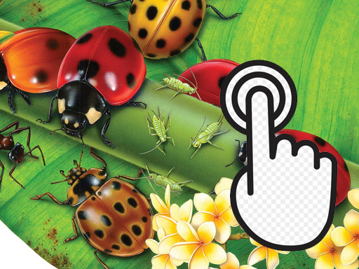 Ladybug Clicker - free online Browser game