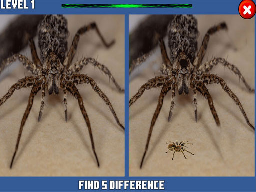 Spider Hidden Difference - free online Browser game