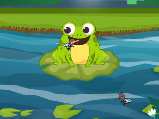 Frog Feast - free online Browser game