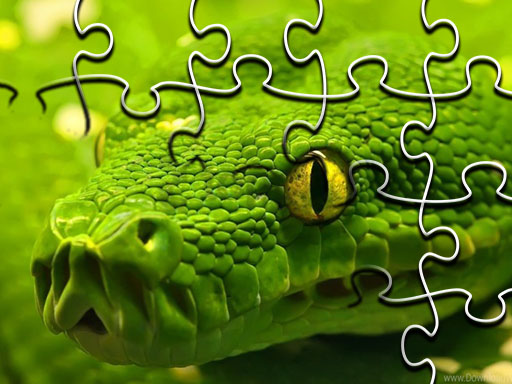 Snakes Jigsaw Puzzle - free online Browser game