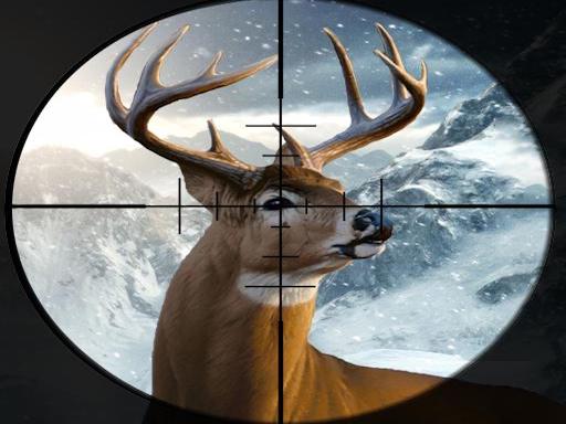 Hunter 3d - free online Browser game