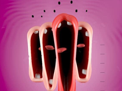 Funny Chorus - free online Browser game