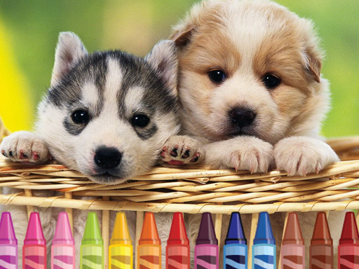 4GameGround - Puppy Coloring - free online Browser game
