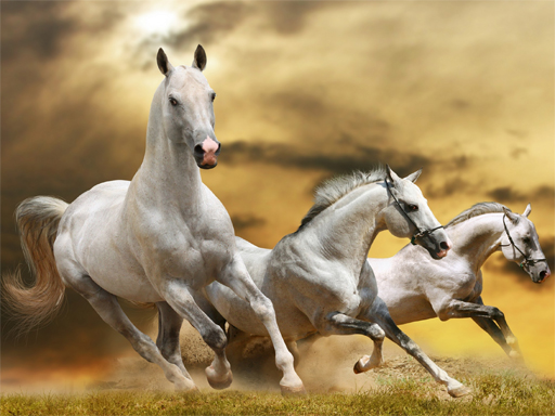 Running Horse Slide - free online Browser game