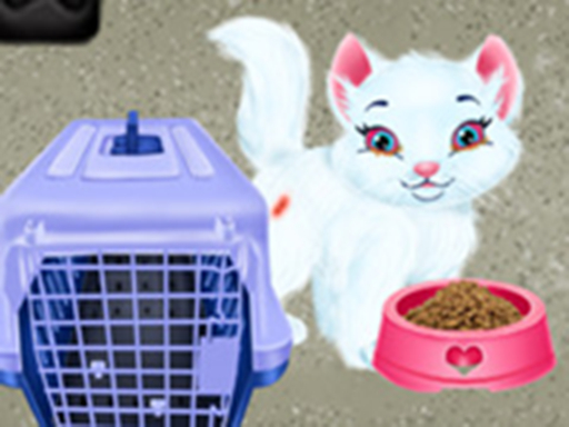 Baby Taylor Pet Care - Save Cute Animals - free online Browser game