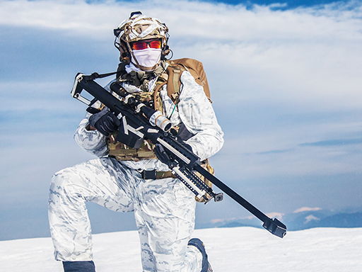 Snow Sniper - free online Browser game