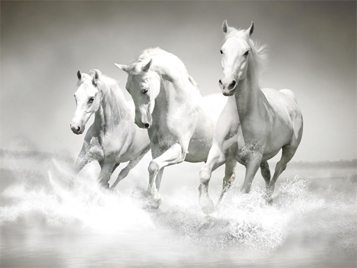 Horses Puzzle - free online Browser game