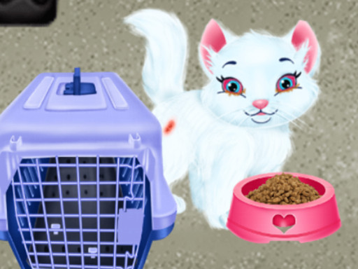 Baby Taylor Pet Care - free online Browser game
