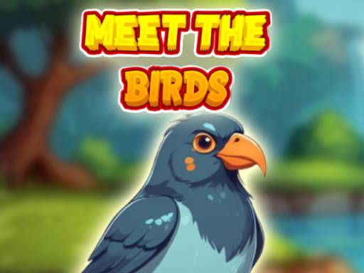 Meet The Birds - free online Browser game