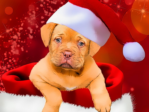 Christmas Dogs Styles - free online Browser game