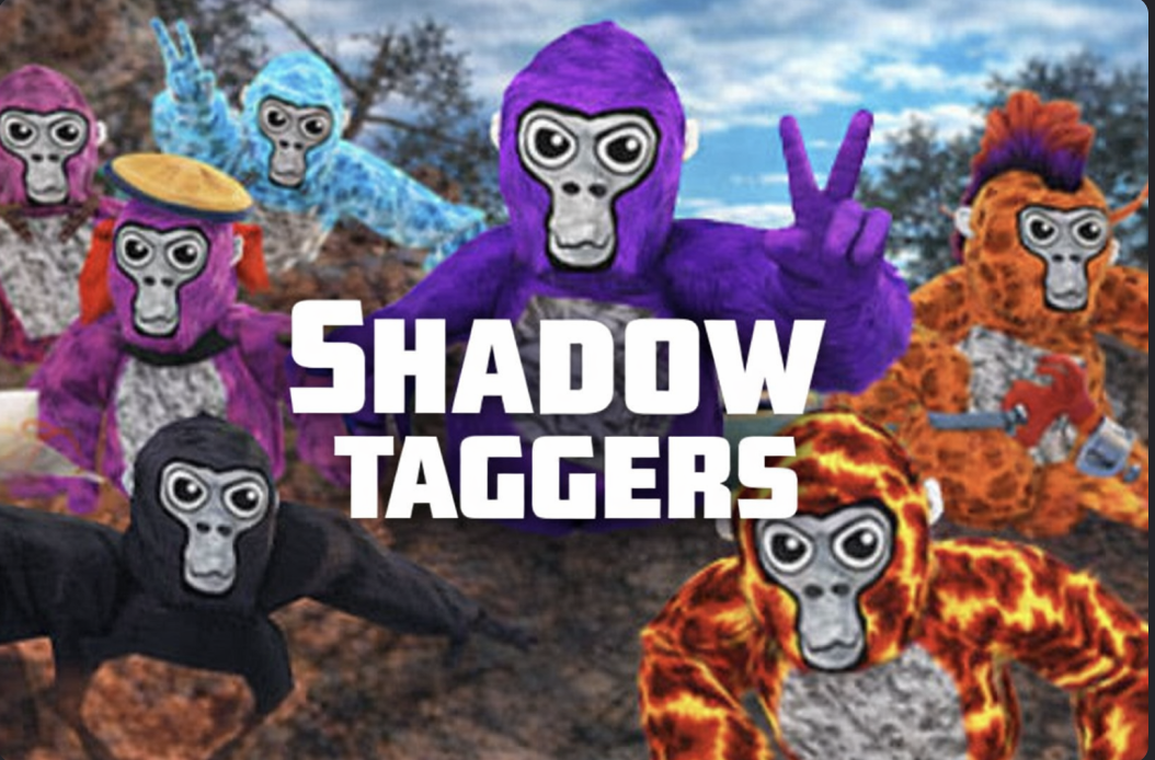 shadow taggers by meta and flash