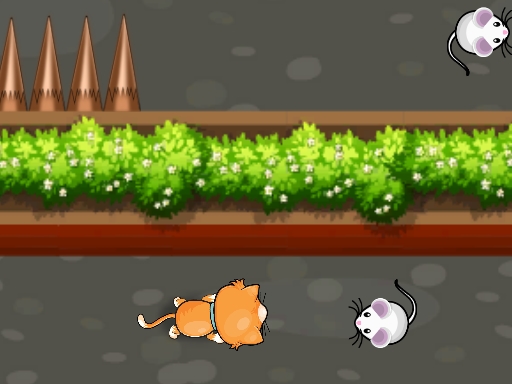 Cat Trap Labyrinth Escape - free online Browser game