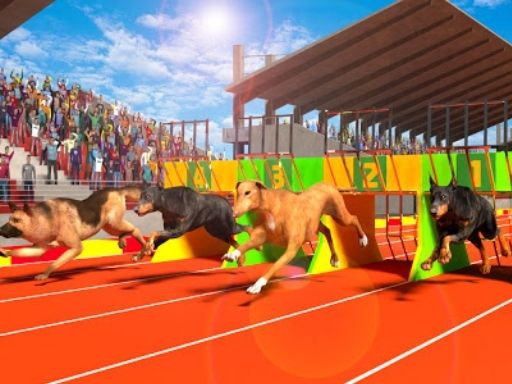 Dog Run 3D - free online Browser game