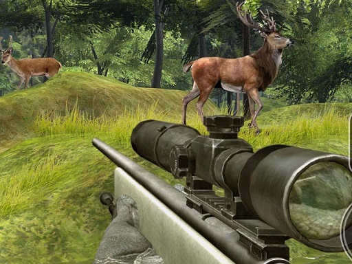 Sniper Hunting Deadly Animal - free online Browser game